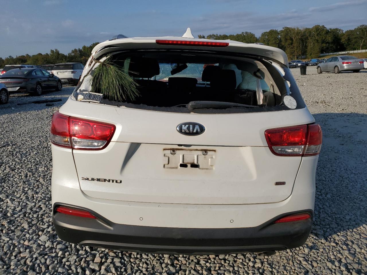 2018 KIA Sorento VIN 5XYPG4A39JG413623 Copart auction photo, rollover damage thumbnail 6
