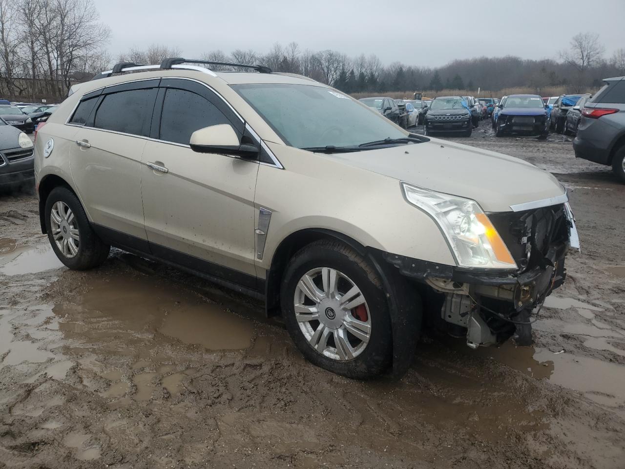 2010 Cadillac SRX VIN 3GYFNDEY3AS644016 Copart auction photo, front end damage thumbnail 4
