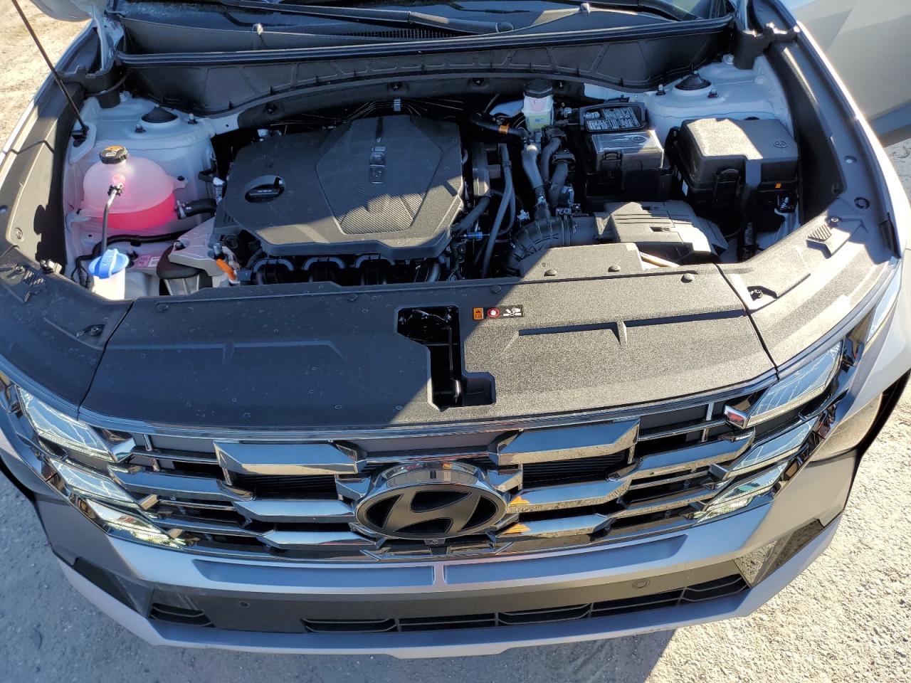 2025 Hyundai Tucson VIN 5NMJE3DE7SH487116 Copart auction photo, rear end damage thumbnail 12