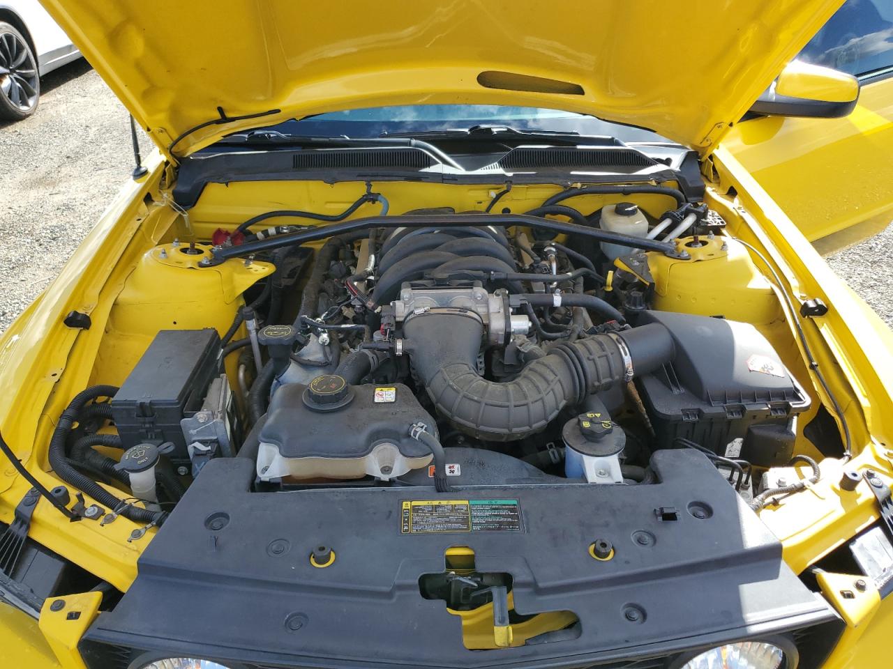 2005 Ford Mustang VIN 1ZVFT82H555156416 Copart auction photo, water/flood damage thumbnail 11