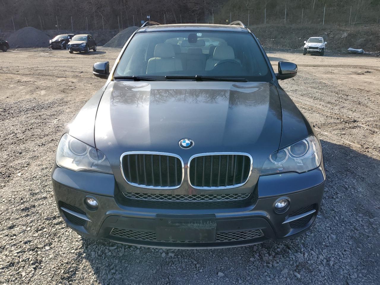 2013 BMW X5 VIN 5UXZV4C50D0E02633 Copart auction photo, minor dent/scratches damage thumbnail 5