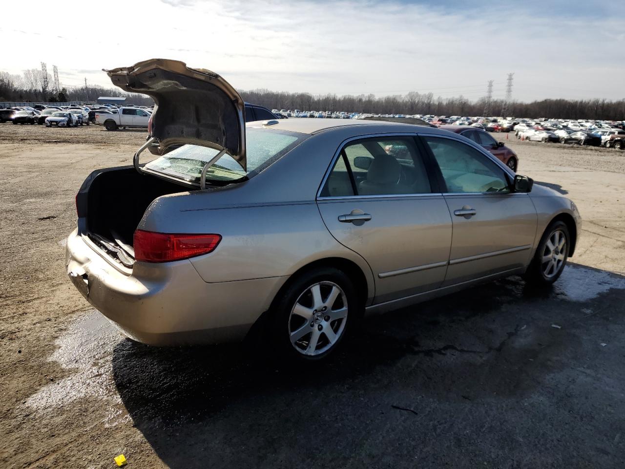 2005 Honda Accord VIN 1HGCM66555A023798 Copart auction photo, rear end / front end damage thumbnail 3