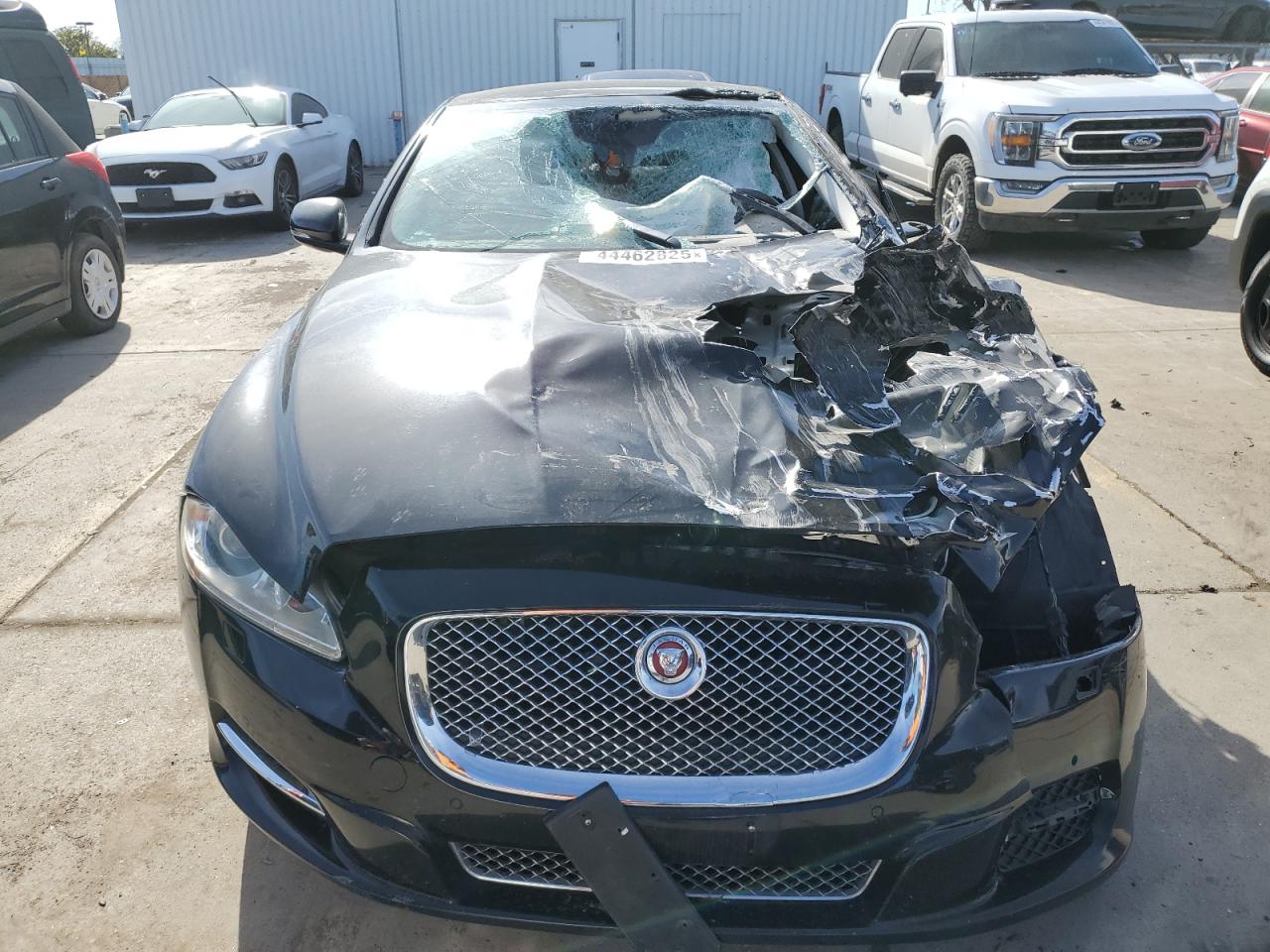 2015 Jaguar XJ VIN SAJWA1CZXF8V75581 Copart auction photo, front end / side damage thumbnail 5