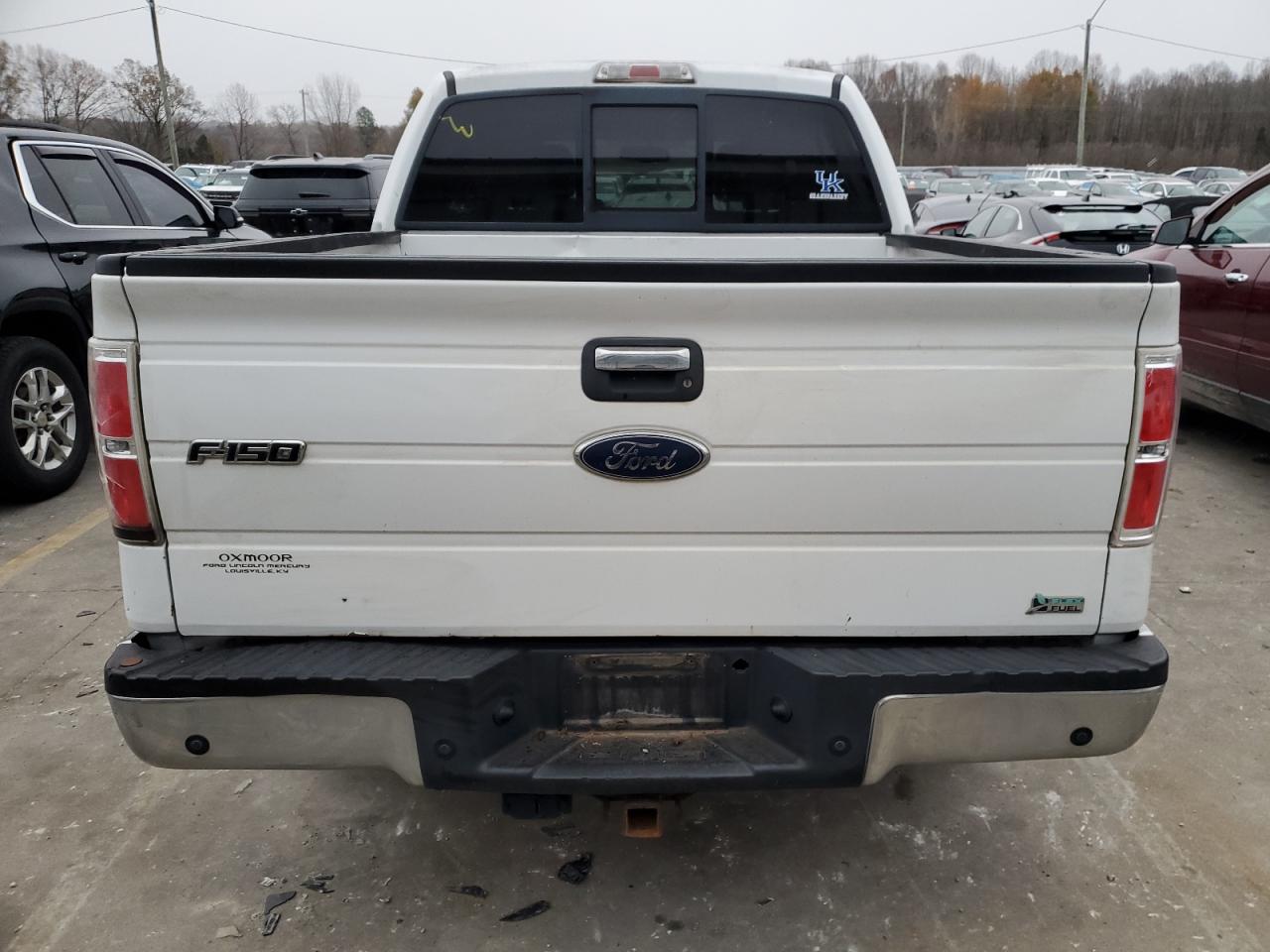 2010 Ford F-150 VIN 1FTFW1CV2AFD64442 Copart auction photo, minor dent/scratches damage thumbnail 6