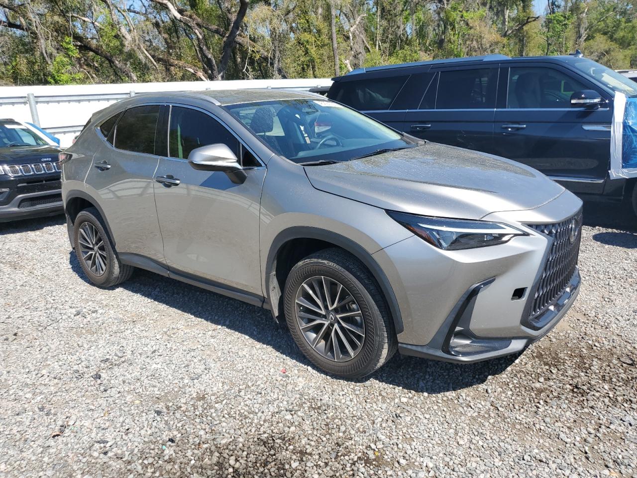 2022 Lexus NX VIN 2T2ADCAZ9NC001311 Copart auction photo, side damage thumbnail 4