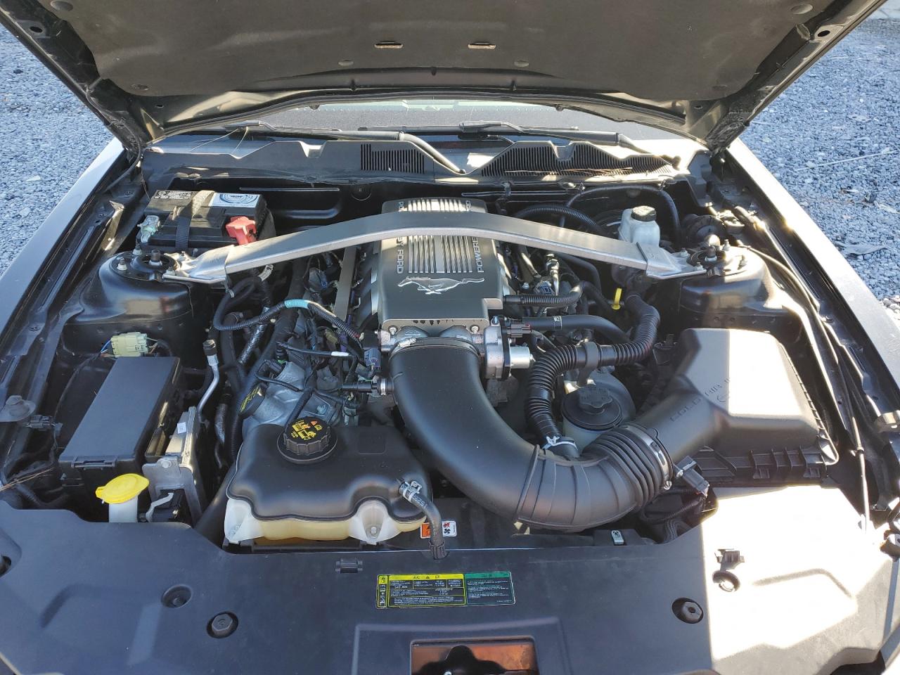 2010 Ford Mustang VIN 1ZVBP8CHXA5154057 Copart auction photo, all over damage thumbnail 11