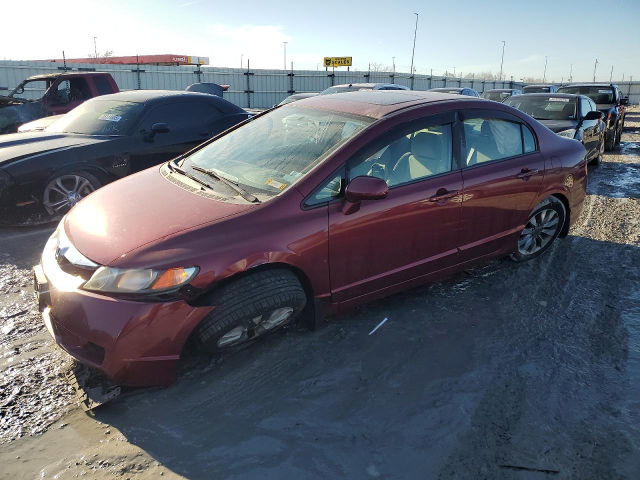 2009 Honda Civic VIN 1HGFA16839L002896