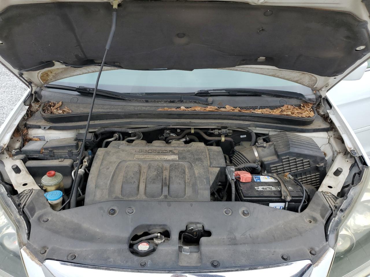 2007 Honda Odyssey VIN 5FNRL38867B124103 Copart auction photo, rear end / minor dent/scratches damage thumbnail 12