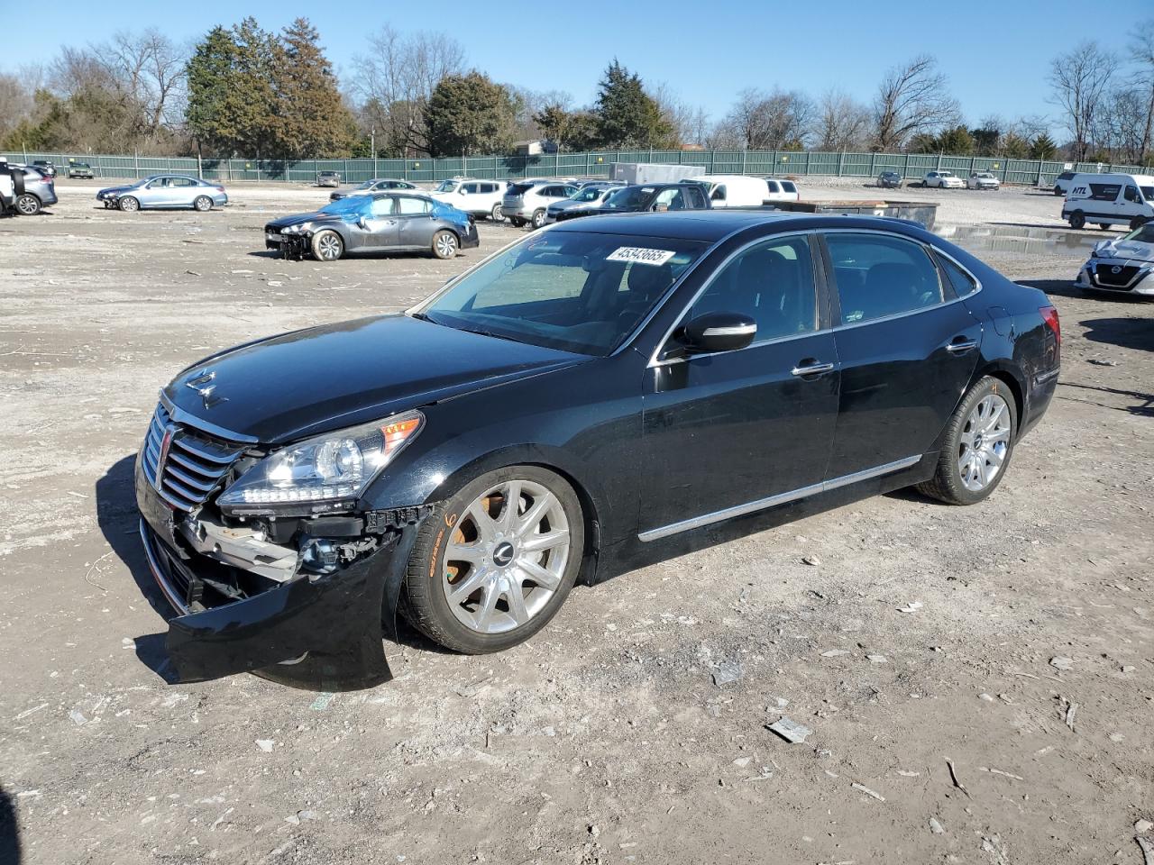 2012 Hyundai Equus VIN KMHGH4JH4CU051383 - Copart auction photo