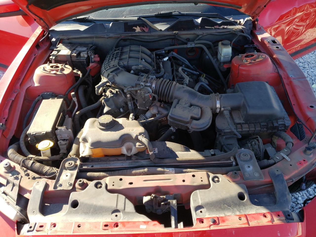2014 Ford Mustang VIN 1ZVBP8AMXE5304786 Copart auction photo, all over damage thumbnail 11