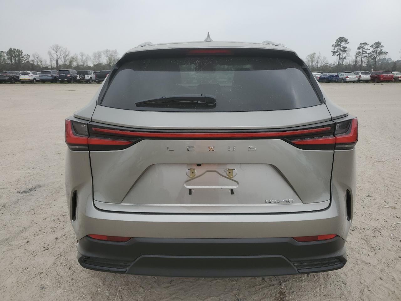 2022 Lexus NX VIN 2T2ADCAZXNC001110 Copart auction photo, side / minor dent/scratches damage thumbnail 6