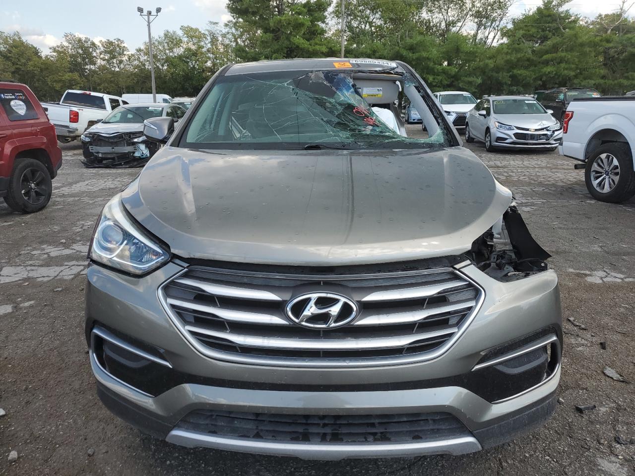 2017 Hyundai Santa Fe VIN 5NMZT3LB3HH020901 Copart auction photo, side / front end damage thumbnail 5