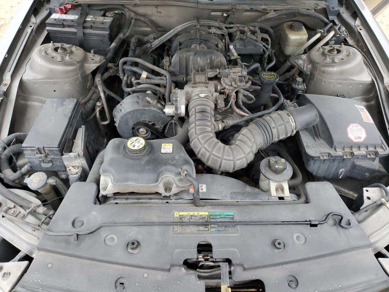 2005 Ford Mustang VIN 1ZVFT80N255124435 Copart auction photo, minor dent/scratches damage thumbnail 11