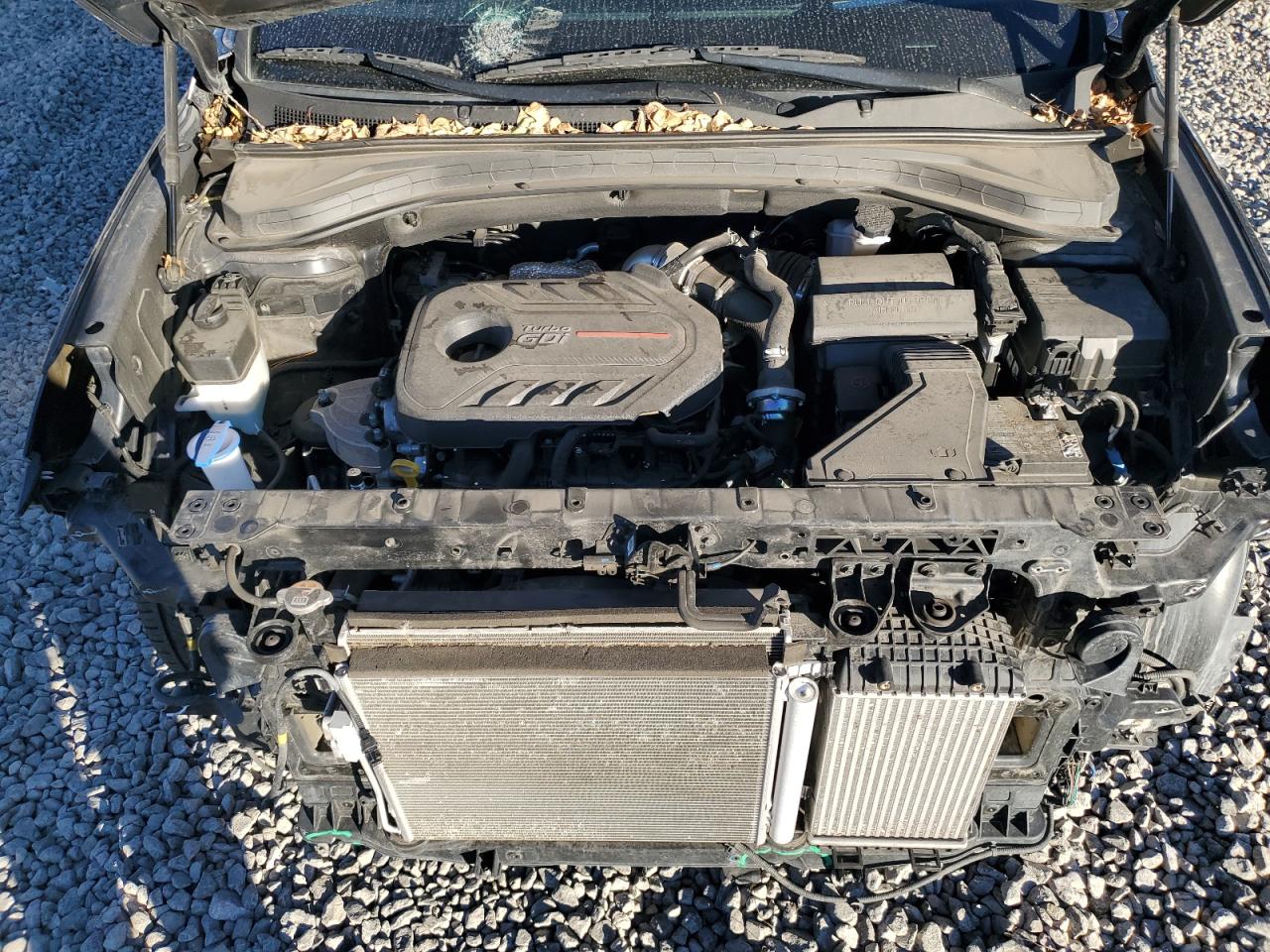2020 Hyundai Santa Fe VIN 5NMS5CAA3LH289186 Copart auction photo, front end damage thumbnail 11