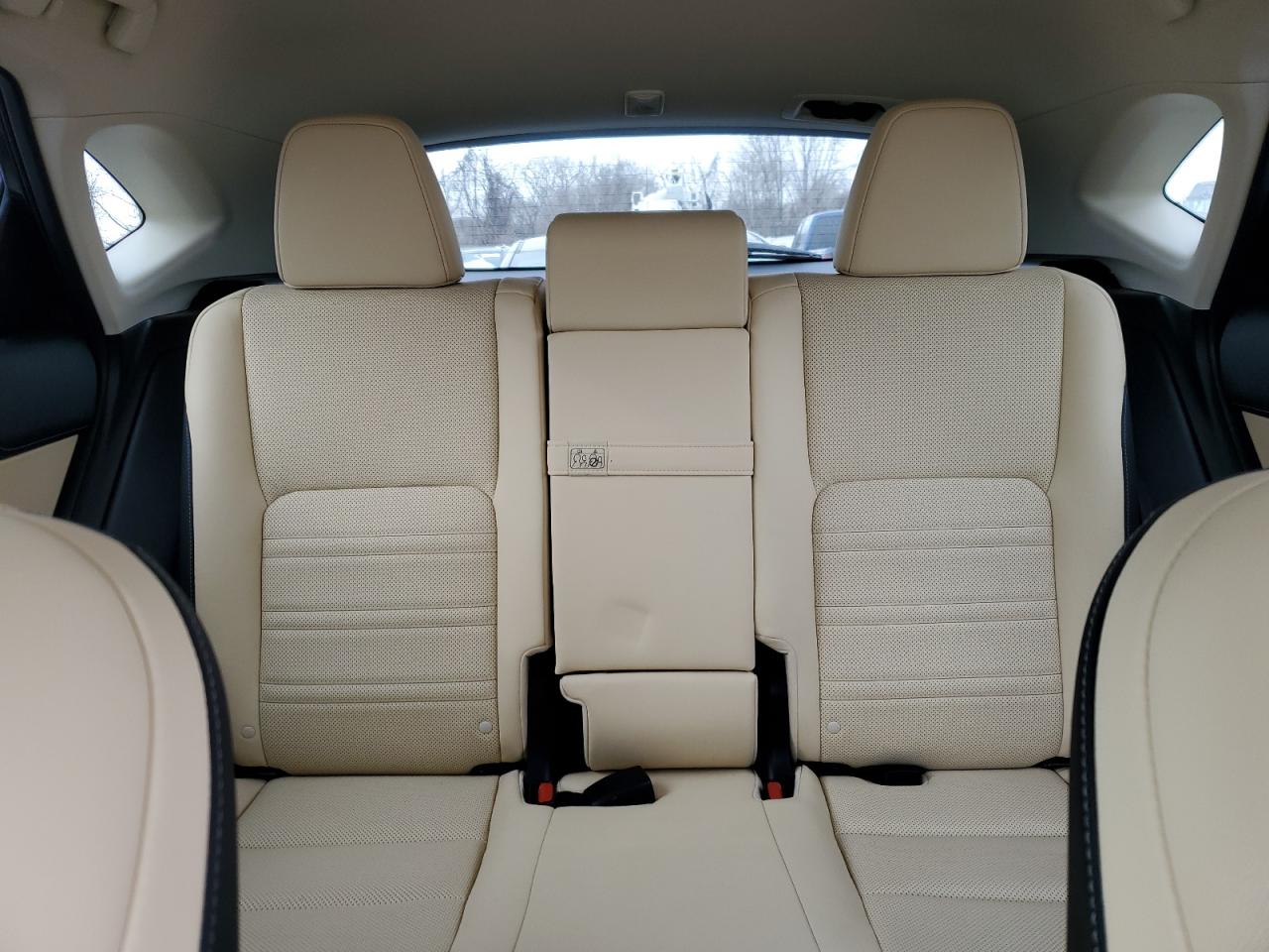 2020 Lexus NX VIN JTJGJRDZ7L2139573 Copart auction photo, front end damage thumbnail 10