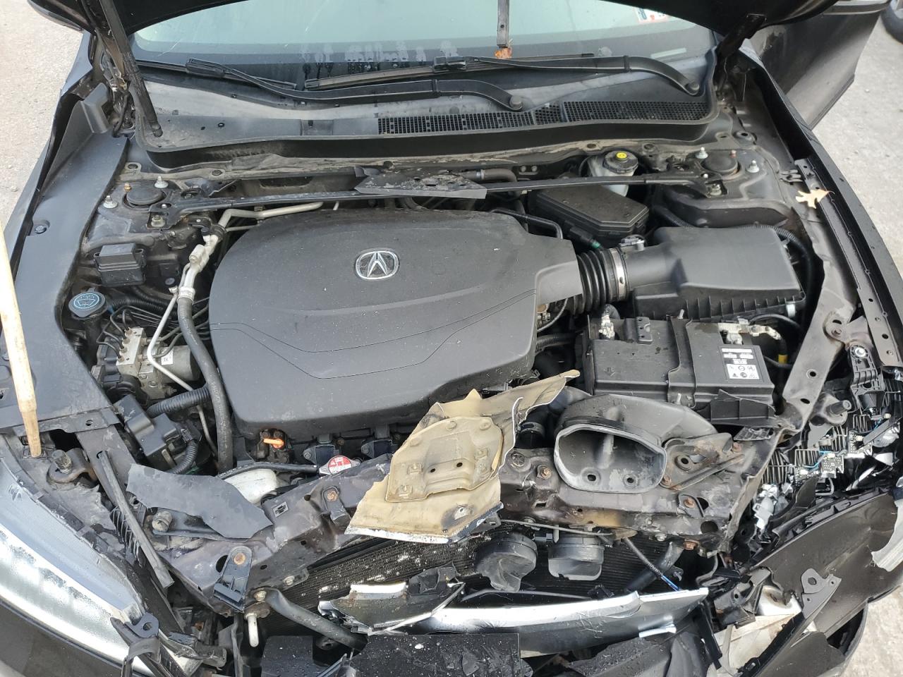 2015 Acura TLX VIN 19UUB2F57FA019921 Copart auction photo, front end damage thumbnail 11