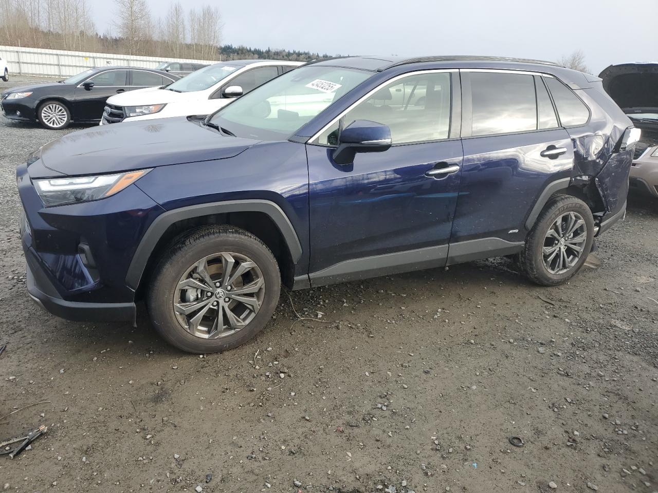 2023 Toyota RAV 4 VIN JTMD6RFV7PD103779