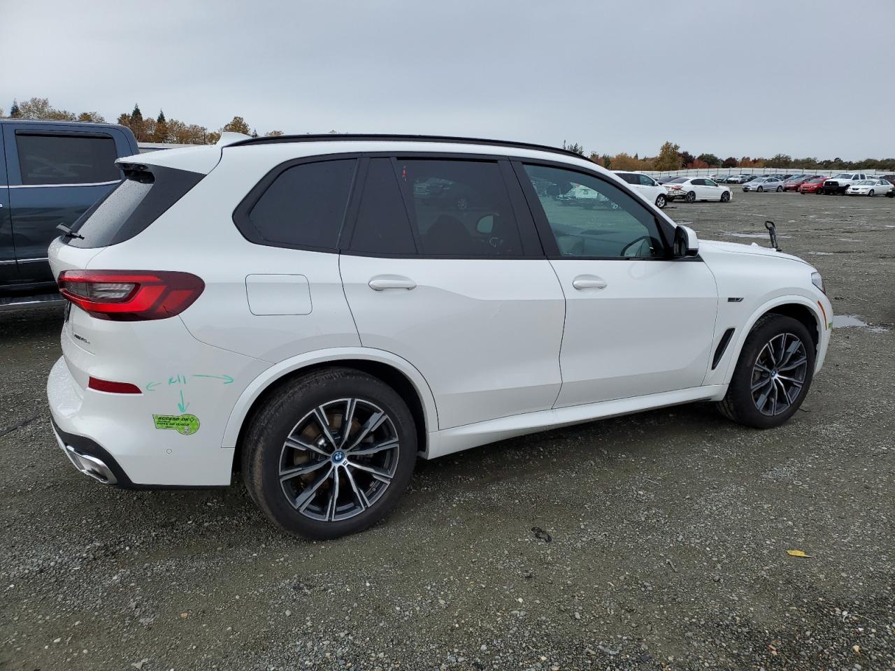 2023 BMW X5 VIN 5UXTA6C05P9P60003 Copart auction photo, side damage thumbnail 3