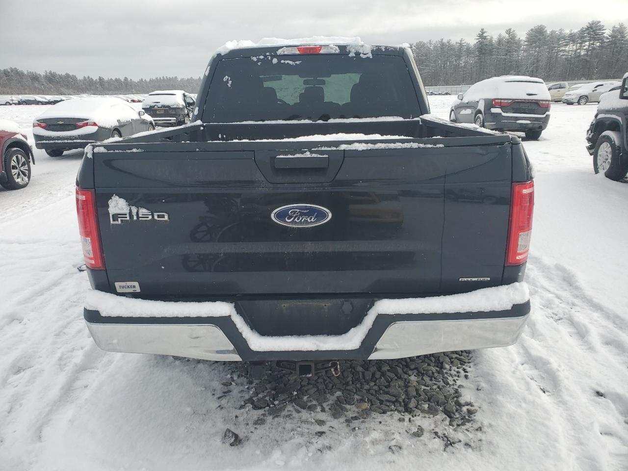2016 Ford F-150 VIN 1FTEW1E88GFA88117 Copart auction photo, all over damage thumbnail 6