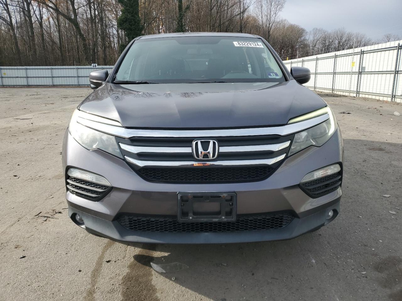 2017 Honda Pilot VIN 5FNYF6H77HB019938 Copart auction photo, side damage thumbnail 5