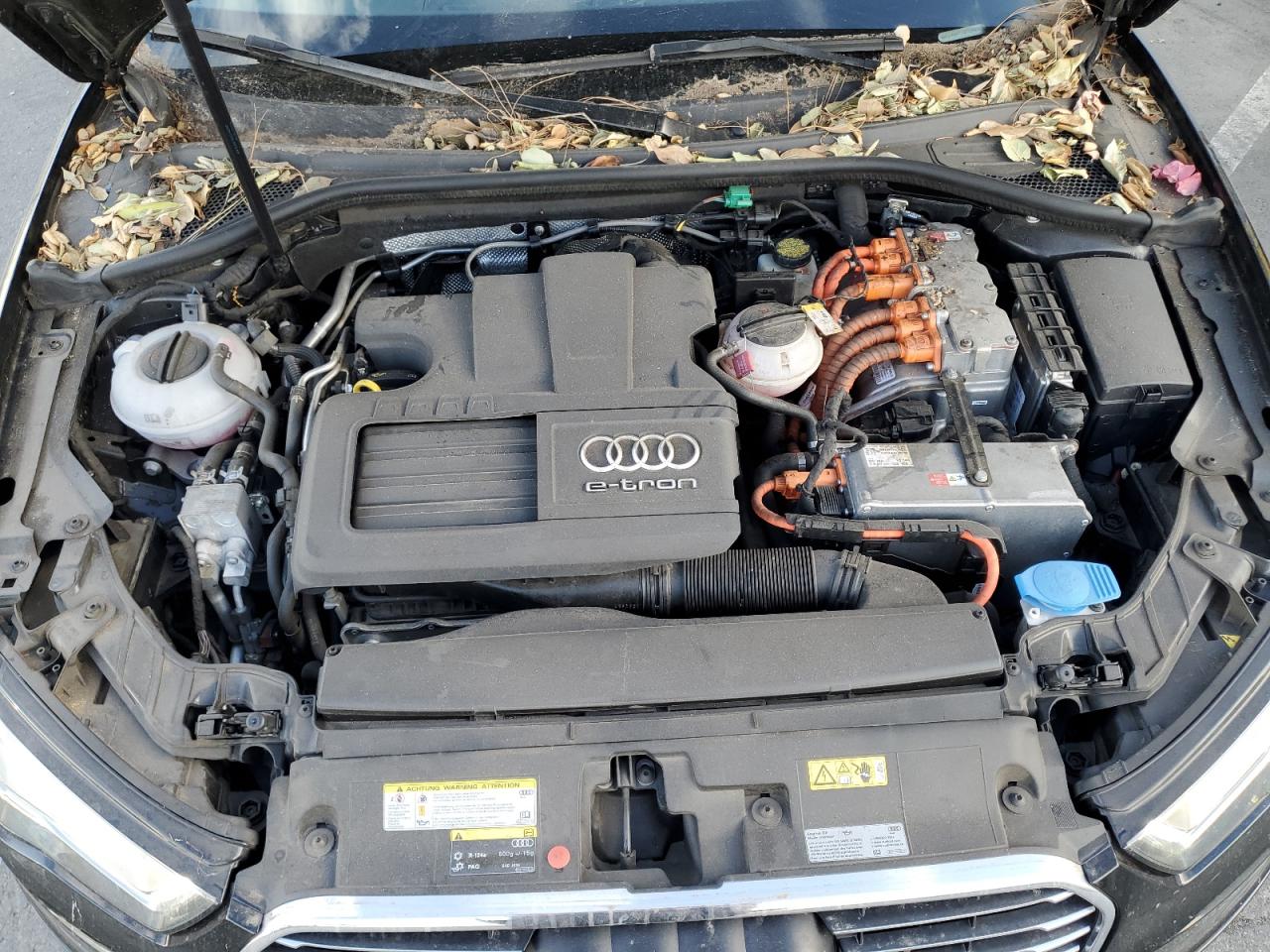 2016 Audi A3 VIN WAUVPBFF1GA142593 Copart auction photo, minor dent/scratches damage thumbnail 11
