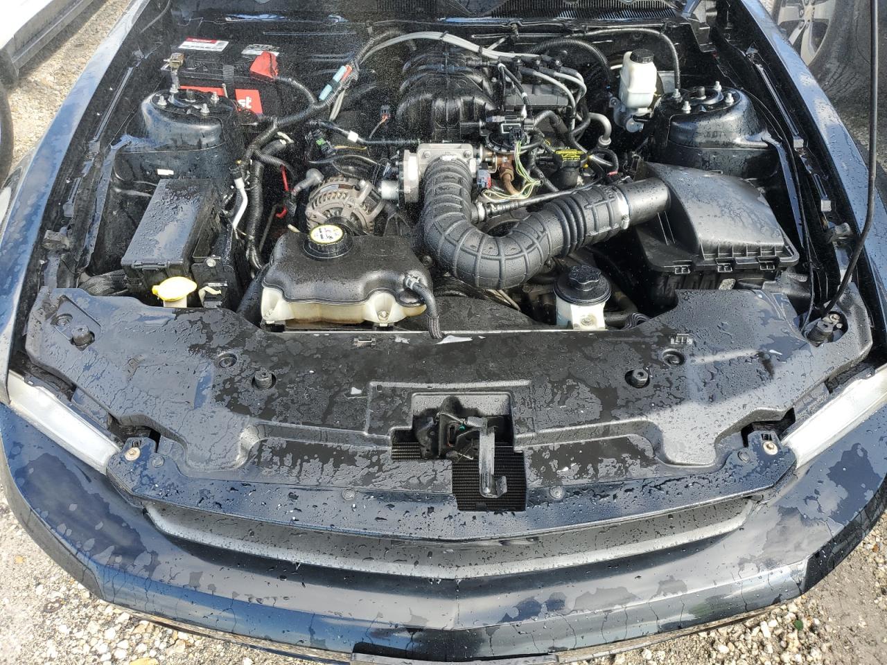 2010 Ford Mustang VIN 1ZVBP8EN4A5130677 Copart auction photo, water/flood damage thumbnail 11