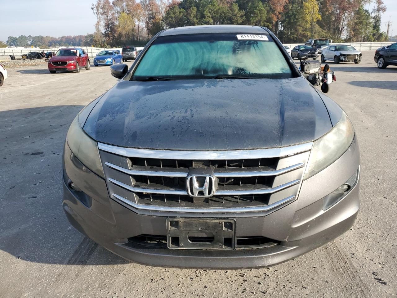 2010 Honda Accord VIN 5J6TF1H51AL001959 Copart auction photo, side damage thumbnail 5
