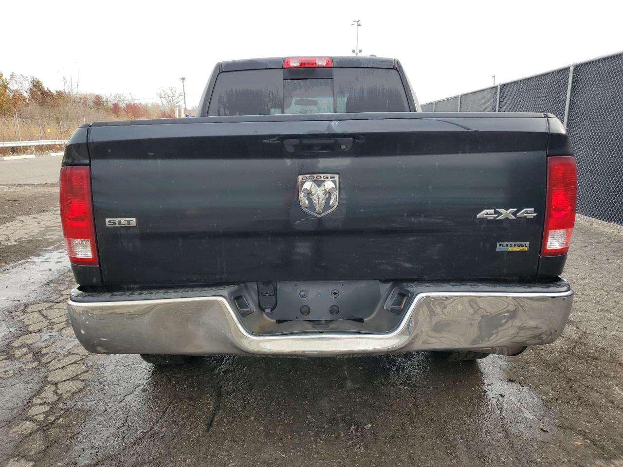 2009 Dodge RAM VIN 1D3HV18P19S807891 Copart auction photo, normal wear damage thumbnail 6
