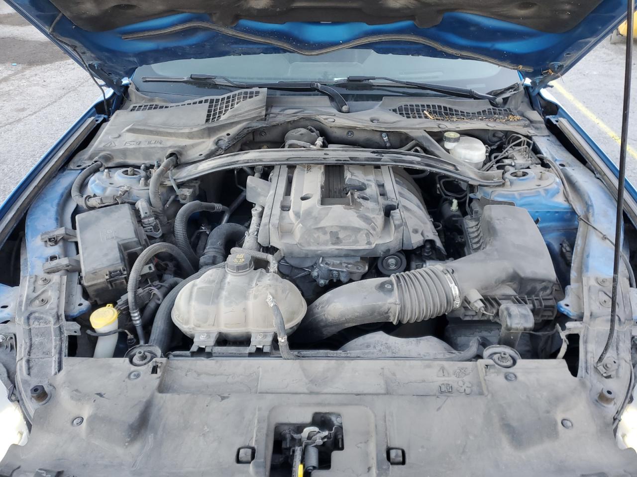 2019 Ford Mustang VIN 1FA6P8TH0K5193171 Copart auction photo, side damage thumbnail 11