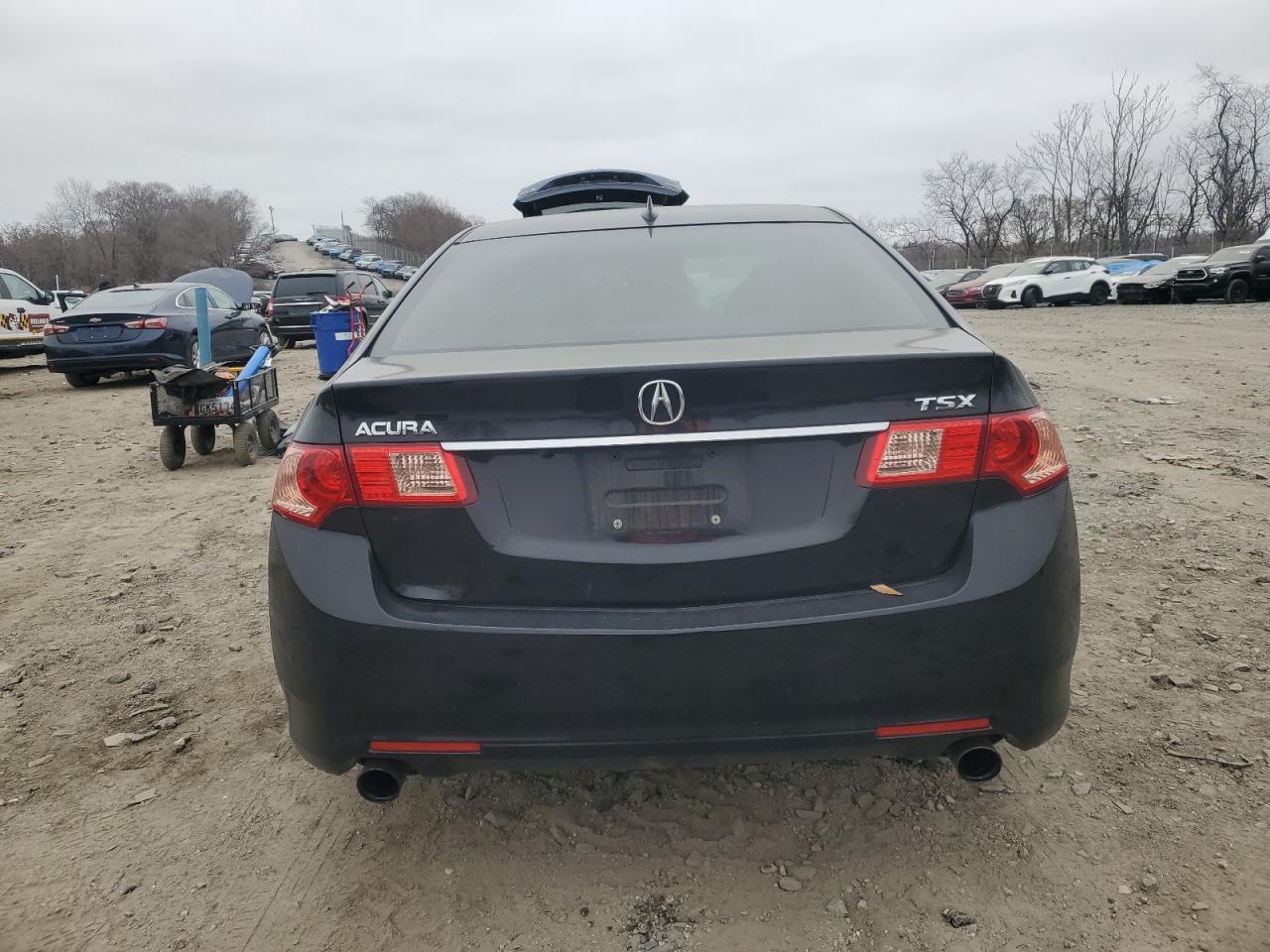 2013 Acura TSX VIN JH4CU2F64DC010803 Copart auction photo, front end / minor dent/scratches damage thumbnail 6