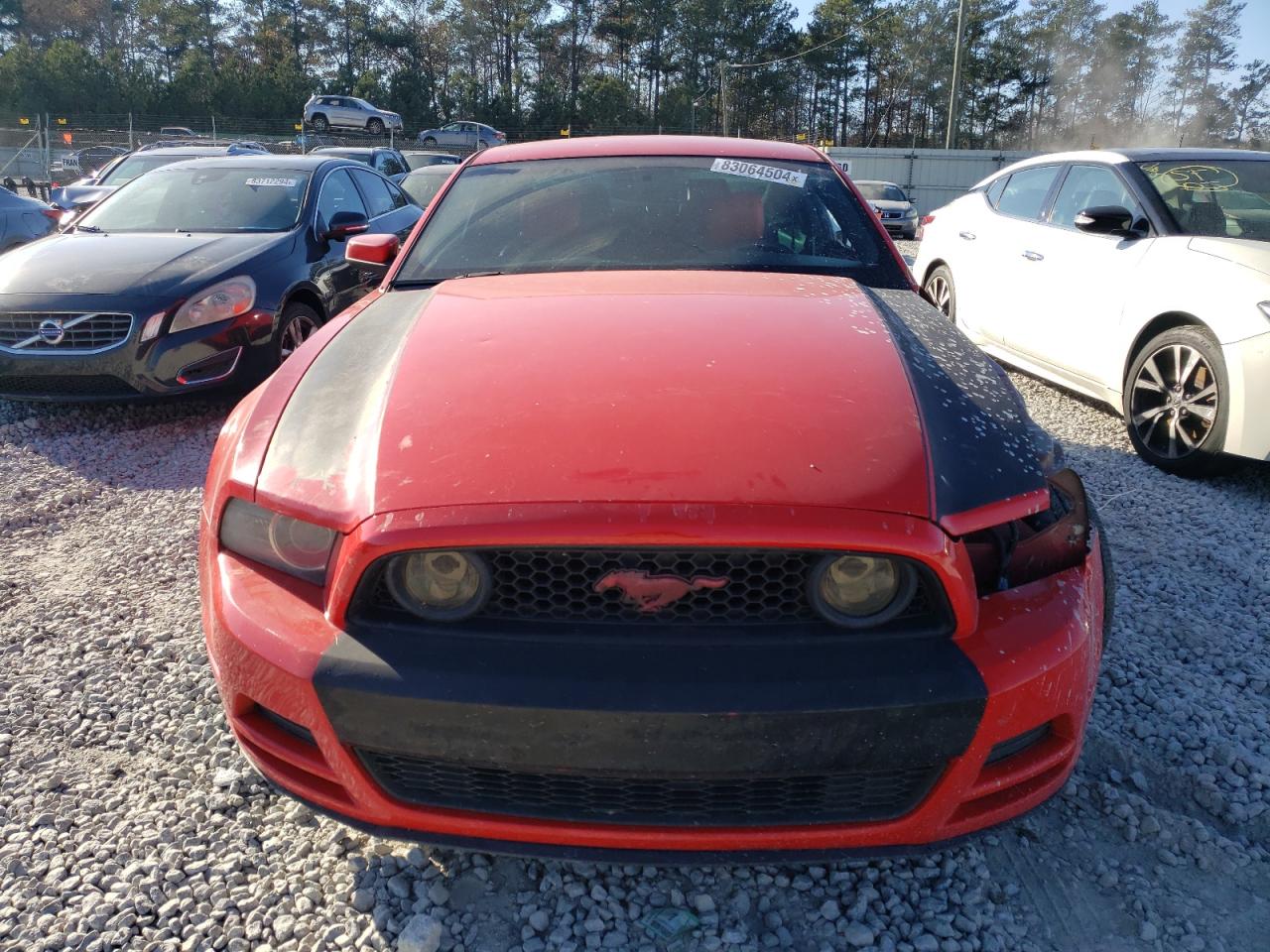2014 Ford Mustang VIN 1ZVBP8AMXE5304786 Copart auction photo, all over damage thumbnail 5