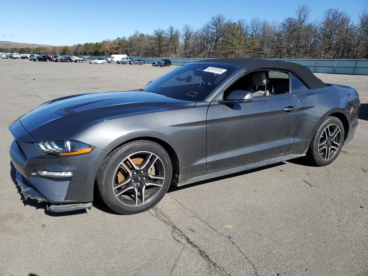 2019 Ford Mustang VIN 1FATP8UH1K5181855