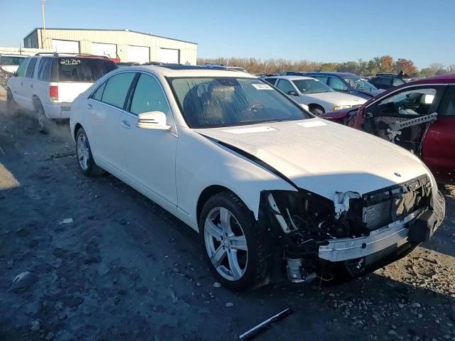 2010 Mercedes-Benz S-klasse VIN WDDNG8GB9AA346279 Copart auction photo, front end damage thumbnail 10