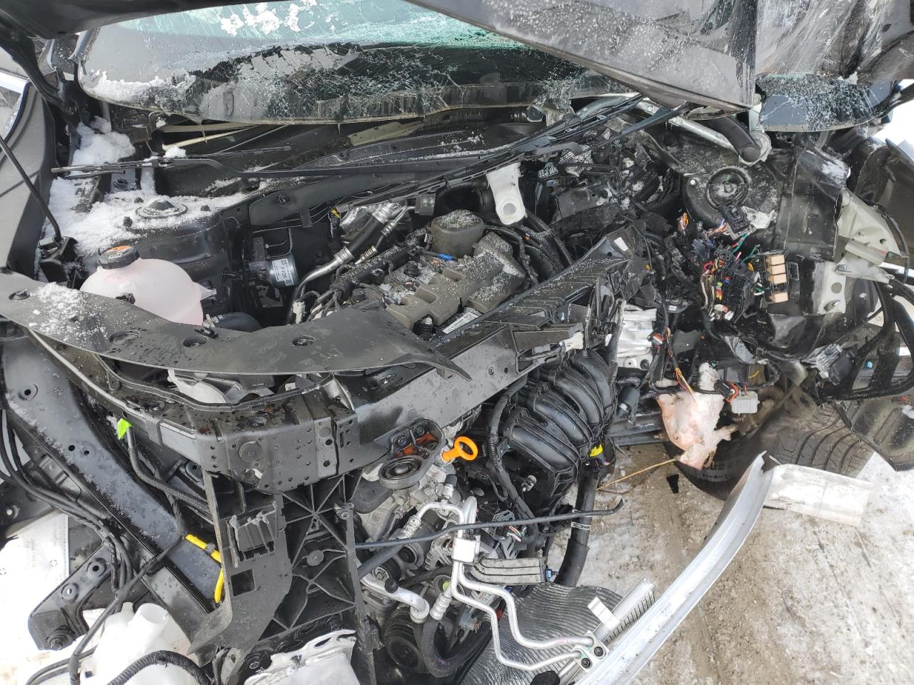 2025 KIA Sorento VIN 5XYRLDJC9SG333440 Copart auction photo, all over / undercarriage damage thumbnail 13