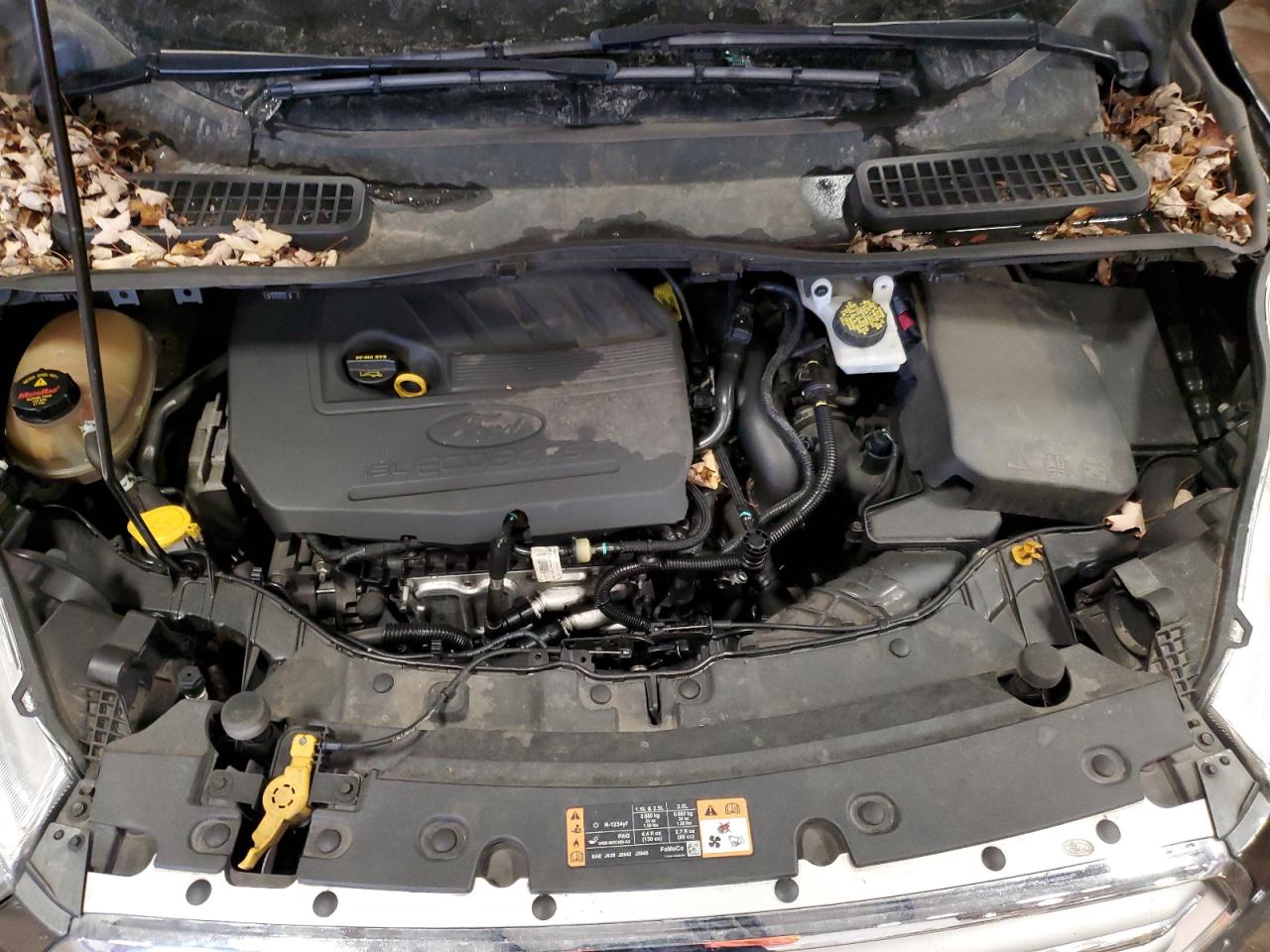 2017 Ford Escape VIN 1FMCU0GD1HUE51111 Copart auction photo, normal wear / minor dent/scratches damage thumbnail 11