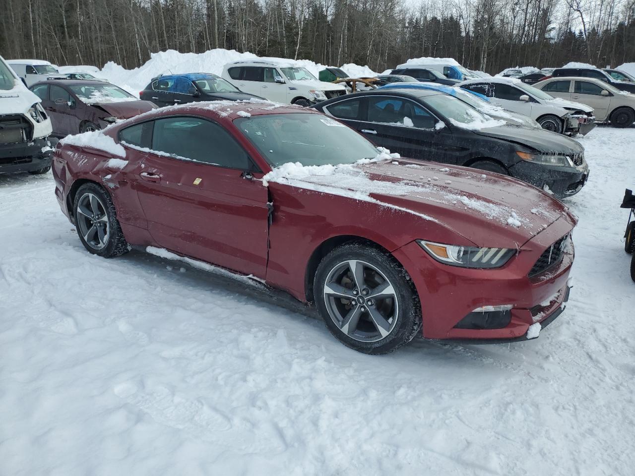 2017 Ford Mustang VIN 1FA6P8AM2H5321614 Copart auction photo, side damage thumbnail 4