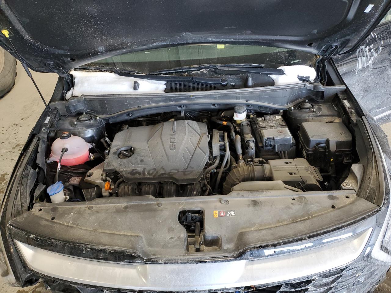 2024 KIA Sportage VIN 5XYK5CDFXRG186597 Copart auction photo, rollover damage thumbnail 12