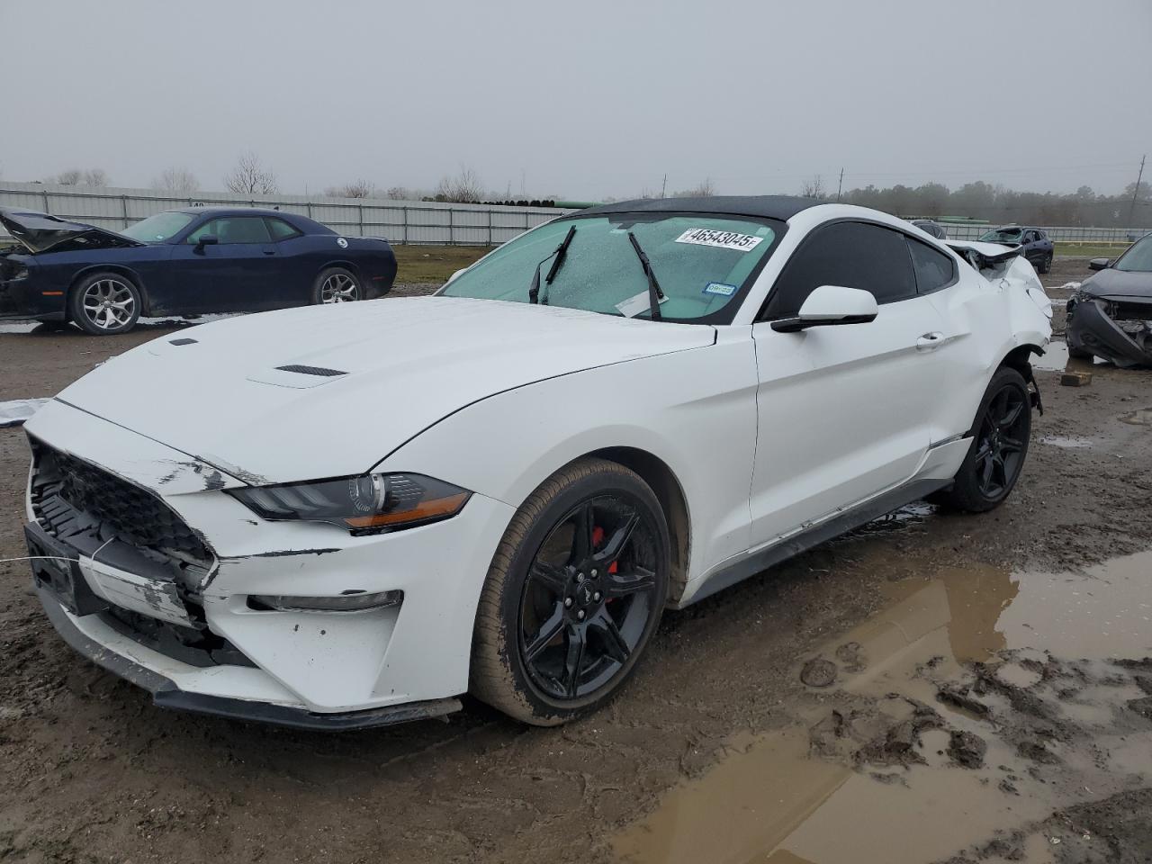 2020 Ford Mustang VIN 1FA6P8TH0L5141752