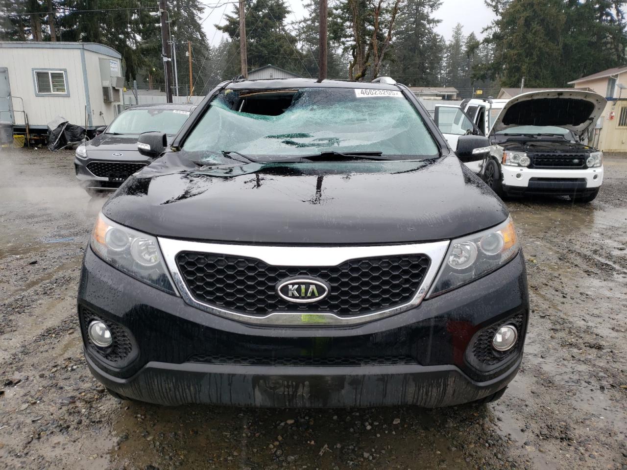 2013 KIA Sorento VIN 5XYKUDA63DG351184 Copart auction photo, top/roof / side damage thumbnail 5