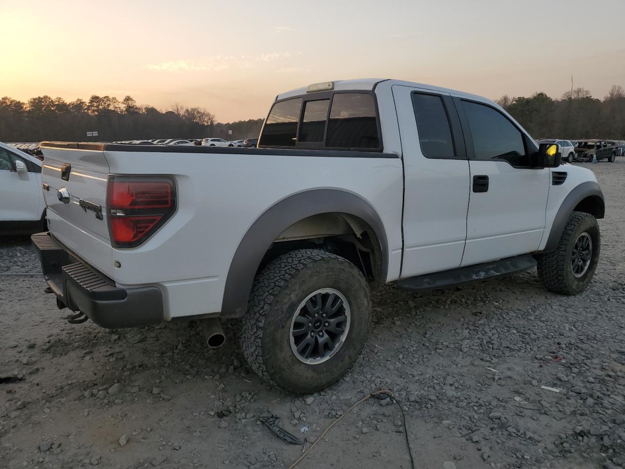 2010 Ford F-150 VIN 1FTEX1E61AFD80257 Copart auction photo, front end damage thumbnail 3