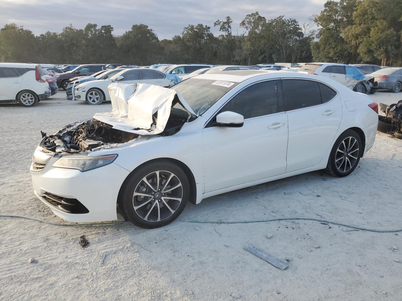 2017 Acura TLX VIN 19UUB2F34HA000907