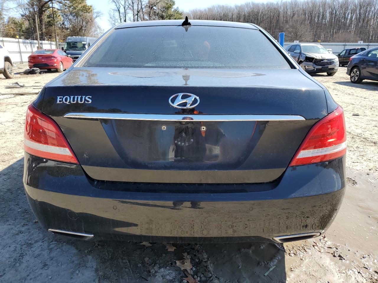 2014 Hyundai Equus VIN KMHGH4JH1EU089995 Copart auction photo, front end / minor dent/scratches damage thumbnail 6