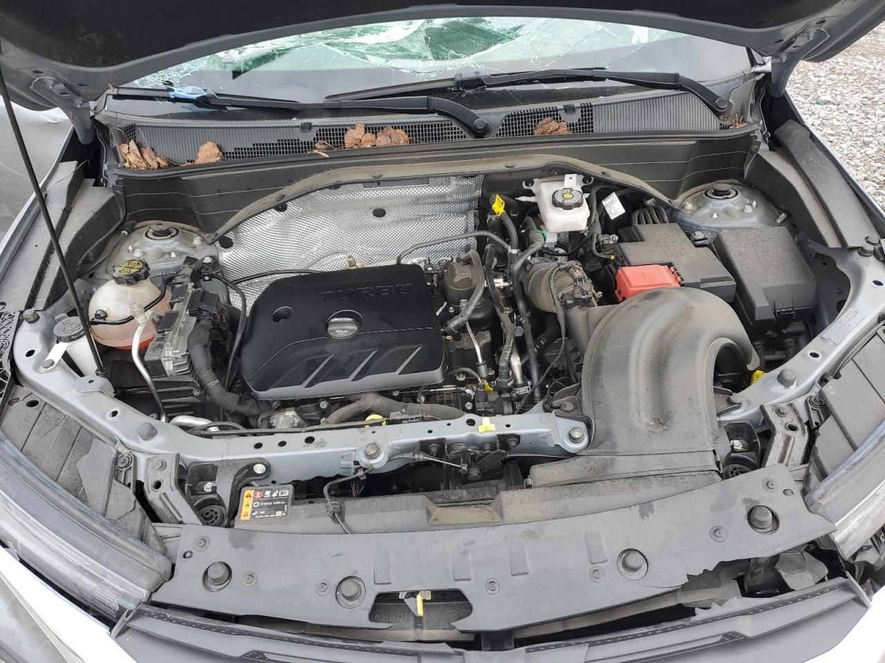 2023 Chevrolet TrailBlazer VIN KL79MPSL1PB211604 Copart auction photo, all over / mechanical damage thumbnail 12