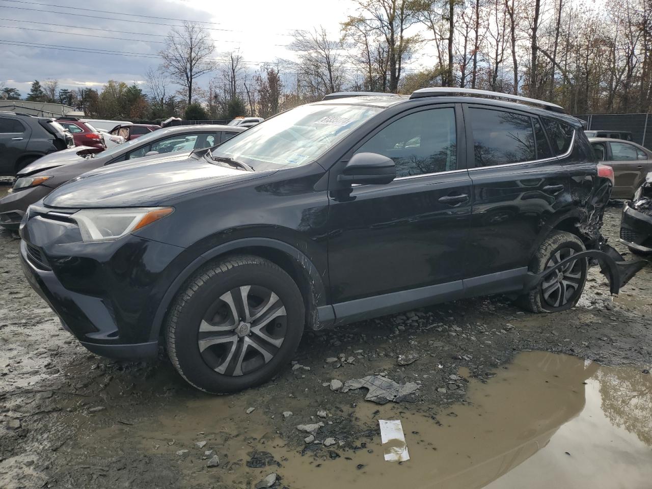 2016 Toyota RAV 4 VIN 2T3BFREVXGW507025