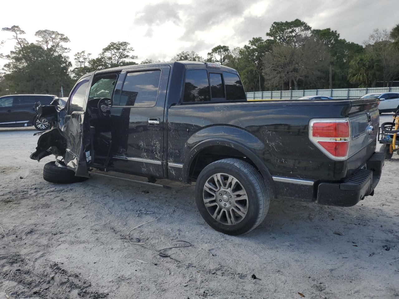 2013 Ford F-150 VIN 1FTFW1CF9DFA35556 Copart auction photo, front end / hail damage thumbnail 2