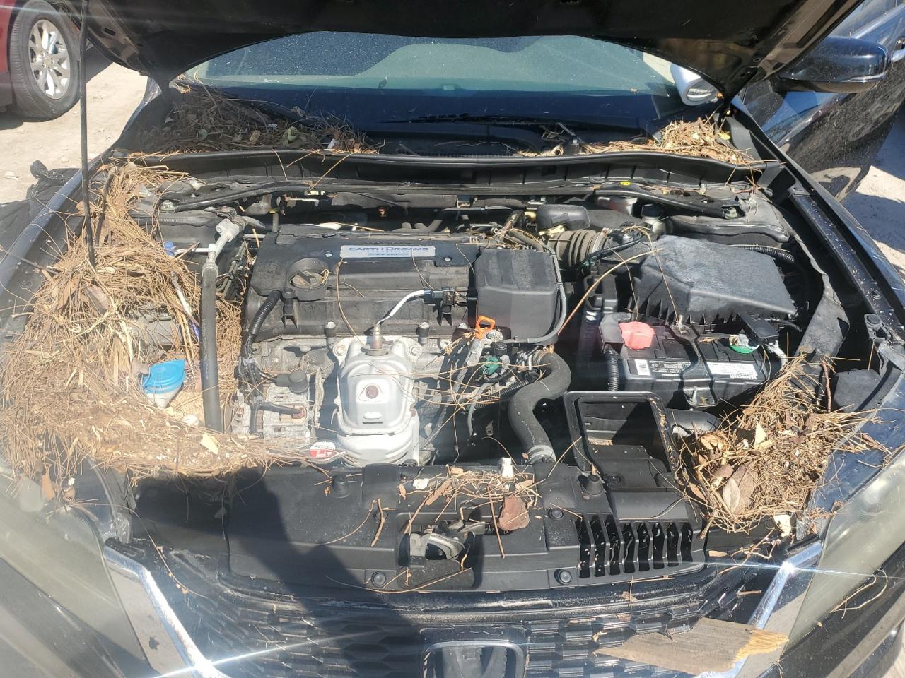 2015 Honda Accord VIN 1HGCT1A72FA003606 Copart auction photo, water/flood / all over damage thumbnail 11