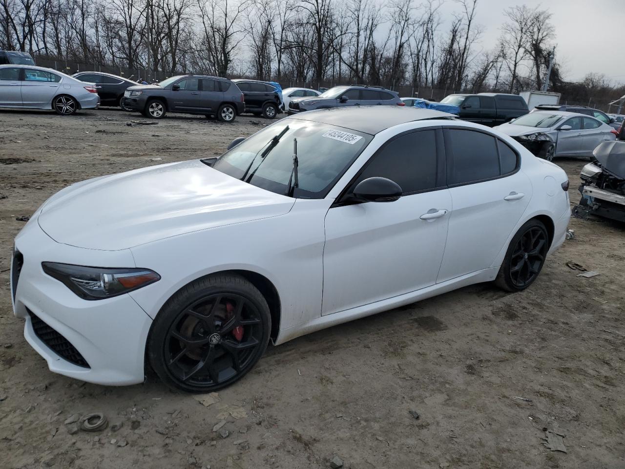 2020 Alfa Romeo Giulia VIN ZARFANAN1L7629752