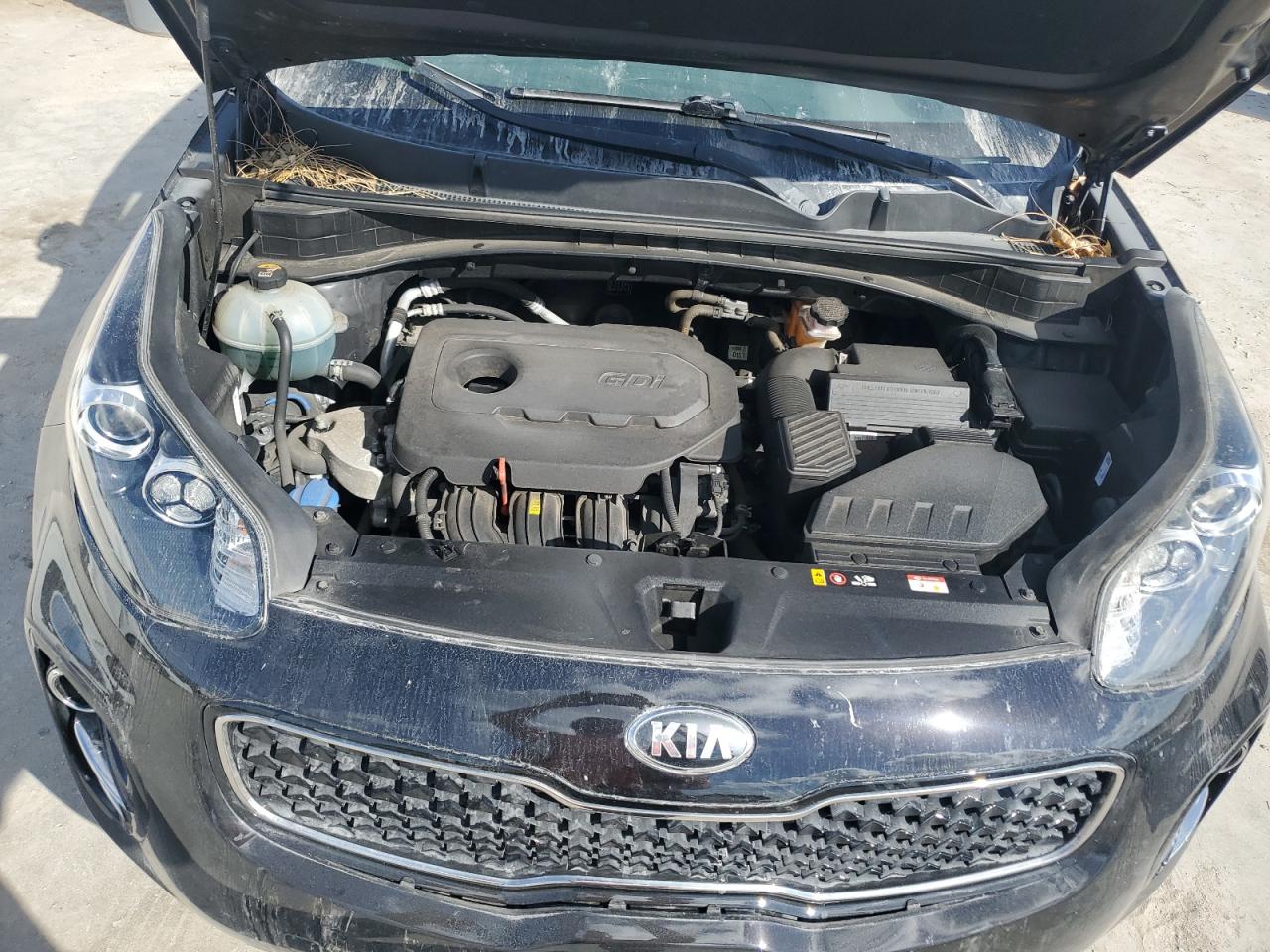2019 KIA Sportage VIN KNDPMCAC9K7573163 Copart auction photo, biohazard/chemical damage thumbnail 12