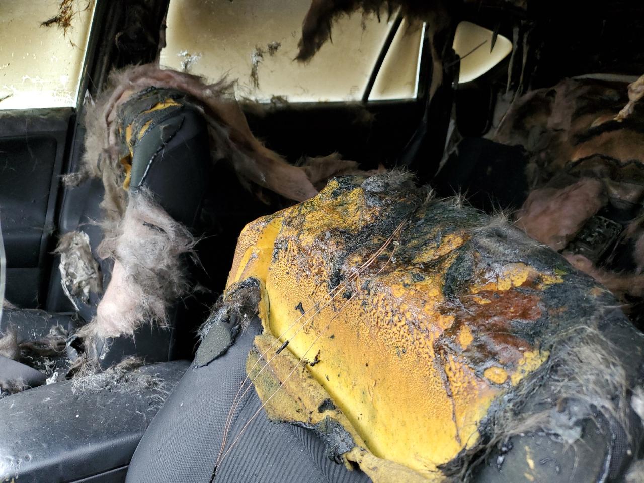 2015 Toyota RAV 4 VIN 2T3BFREV3FW299844 Copart auction photo, burn damage thumbnail 11