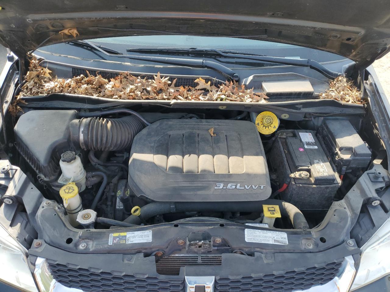 2013 Dodge Caravan VIN 2C4RDGCG8DR772075 Copart auction photo, side / front end damage thumbnail 14
